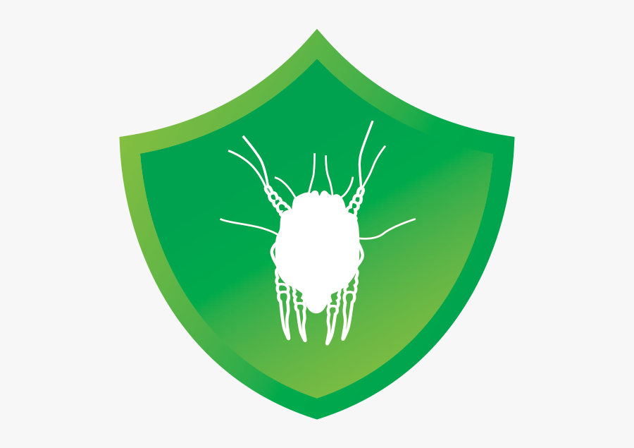 Shield Mite, Transparent Clipart