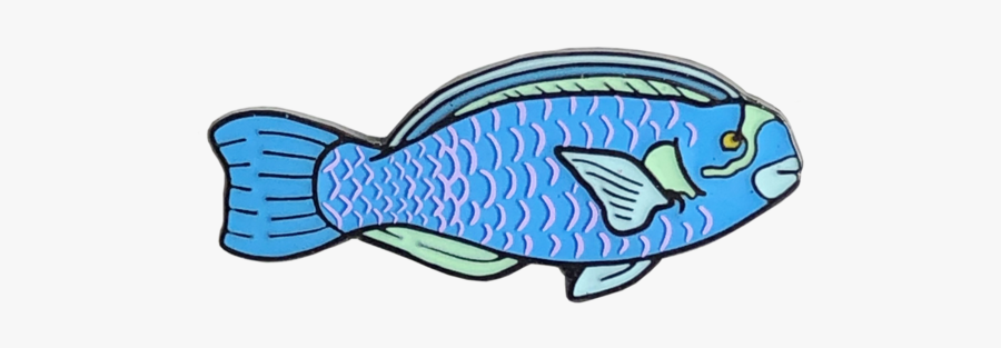 Uhu Uliuli Parrotfish Pin - Coral Reef Fish, Transparent Clipart