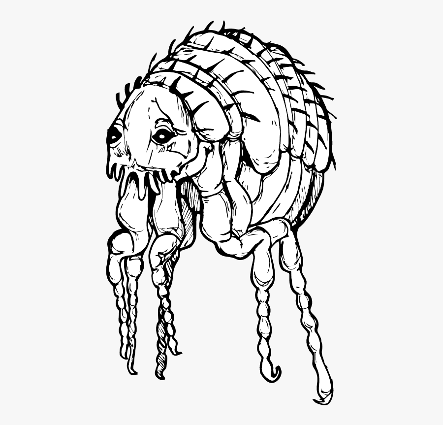 Sketch, Transparent Clipart