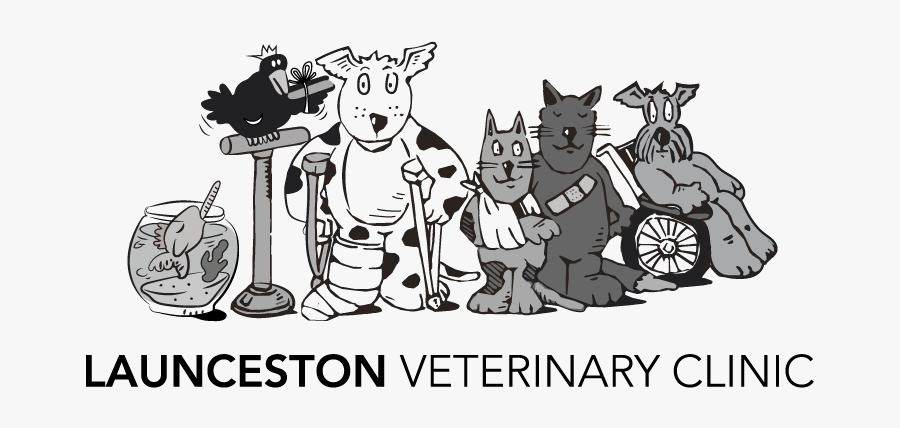 Launceston Vet Clinic Tas Logo - Cartoon, Transparent Clipart