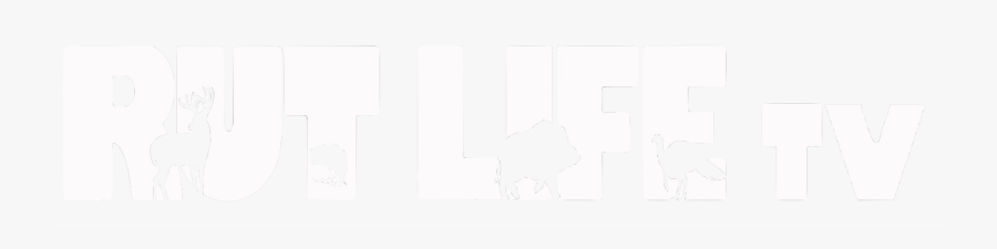 Silhouette, Transparent Clipart