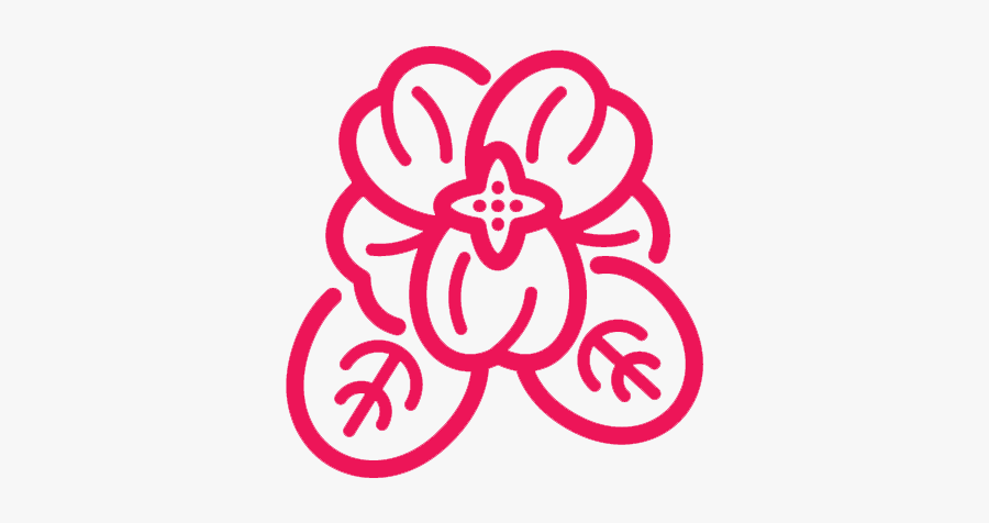 Illustration, Transparent Clipart