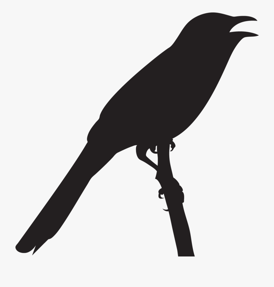 Fish Crow, Transparent Clipart