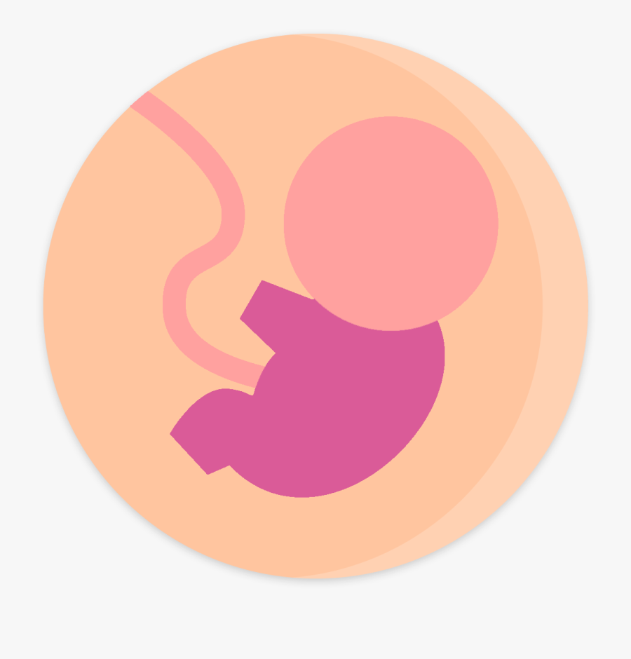 Innate Pro - Circle, Transparent Clipart