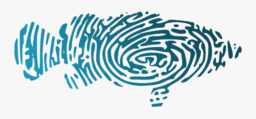 Hk Sustainable Seafood Coalition - Sustainable Seafood Coalition, Transparent Clipart