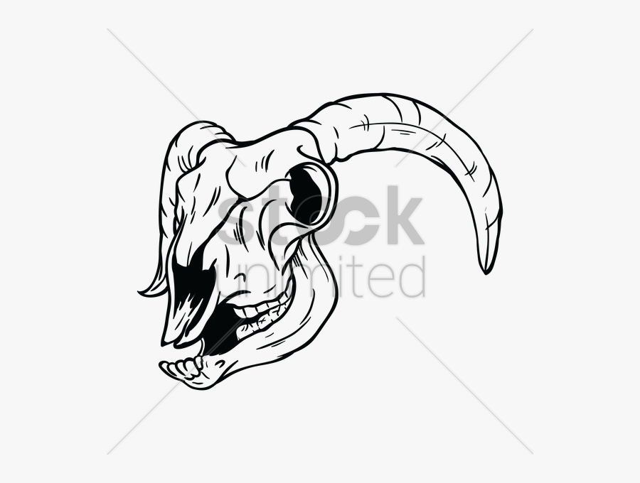 Sheep Clipart Skull - Illustration, Transparent Clipart