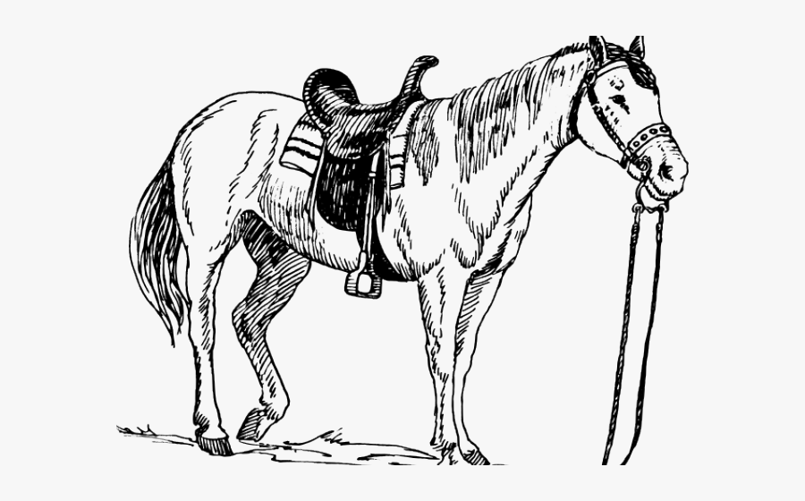 Horse With Saddle Coloring Page, Transparent Clipart