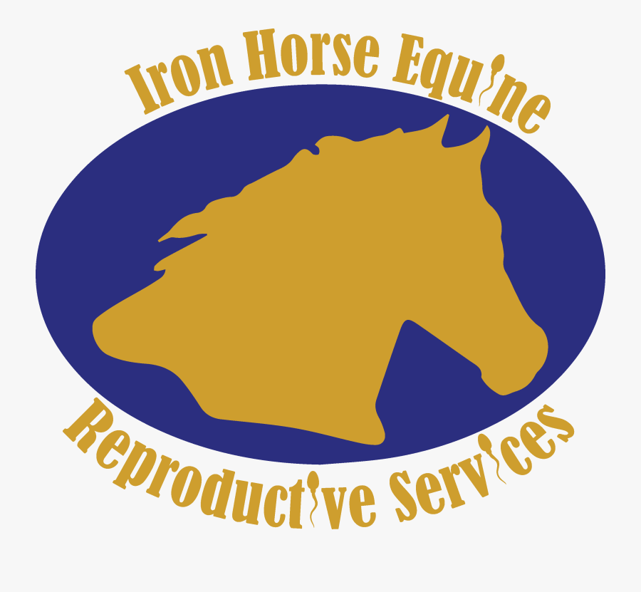 Iron Horse Equine - Today Is The Tomorrow You, Transparent Clipart