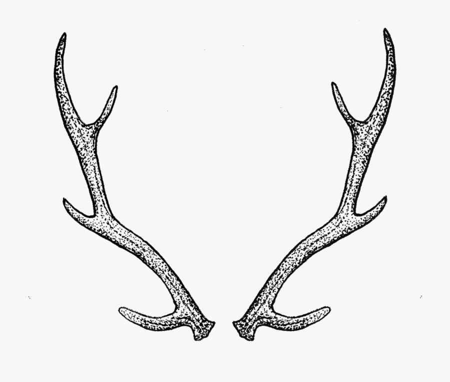 Antlers By Tea Leigh - Antler Png Transparent, Transparent Clipart