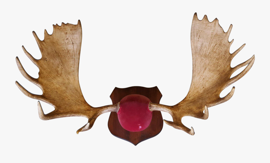 Hand Painted Antlers Png Download - Antler, Transparent Clipart