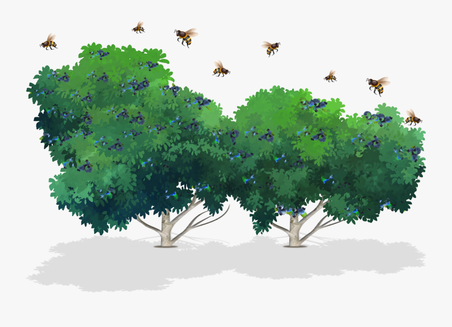 Clip Art Caribbean Tree Cactus - Illustration, Transparent Clipart