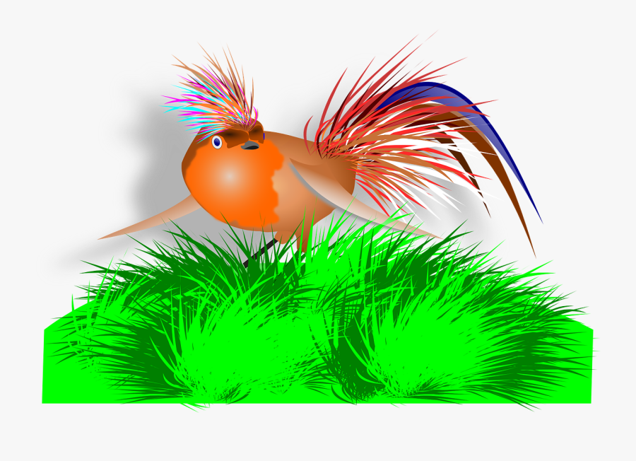 Animal Bird Colorful Free Picture - Bird, Transparent Clipart