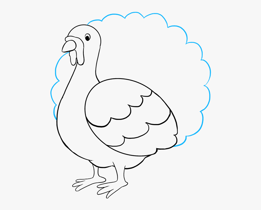 How To Draw Turkey - Turkey, Transparent Clipart