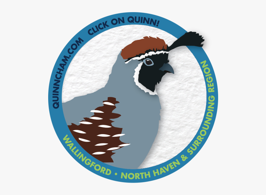 Turkey, Transparent Clipart