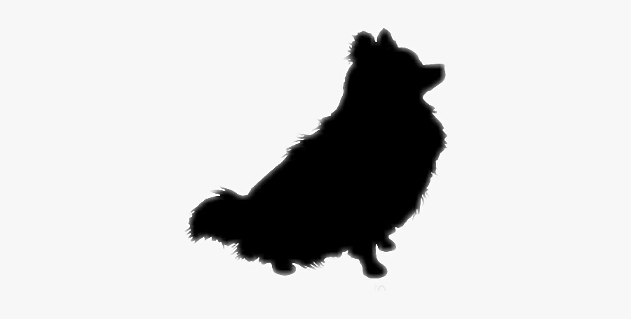 #pomeranian #silhouette #dog #pom - Pomeranian Black Icon Png, Transparent Clipart