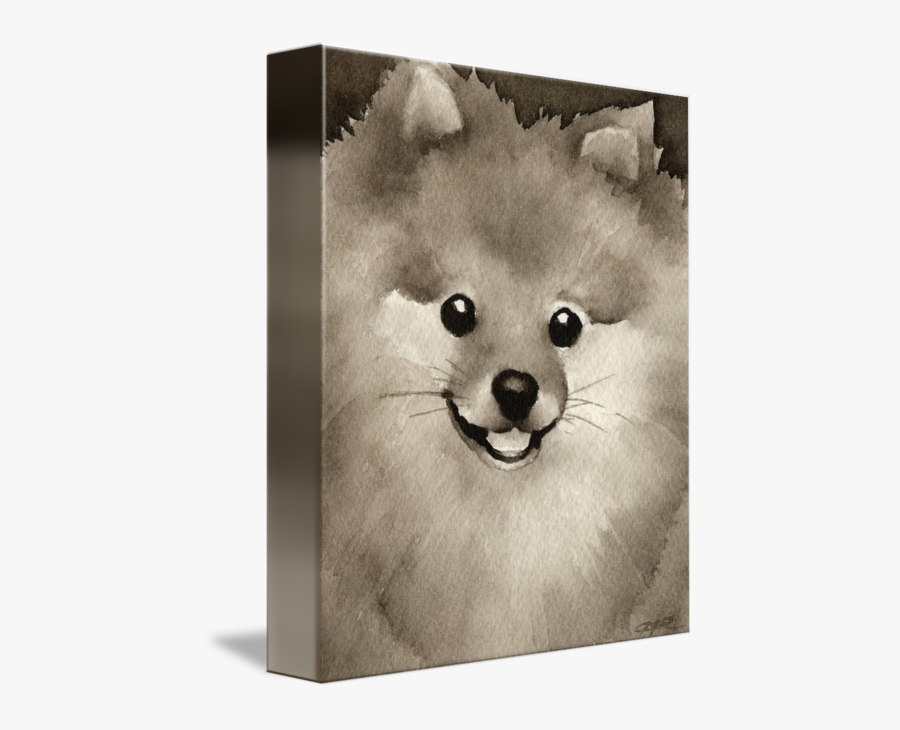 Clip Art By David Rogers - Pomeranian, Transparent Clipart