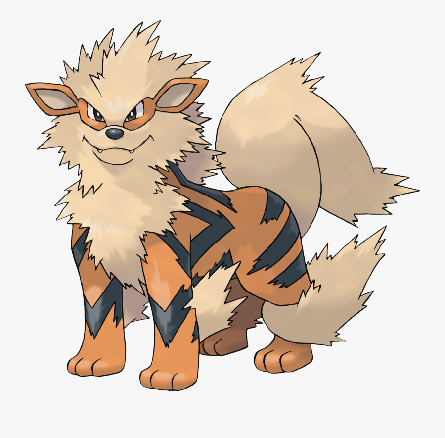 Pomeranian - Pokemon Arcanine, Transparent Clipart