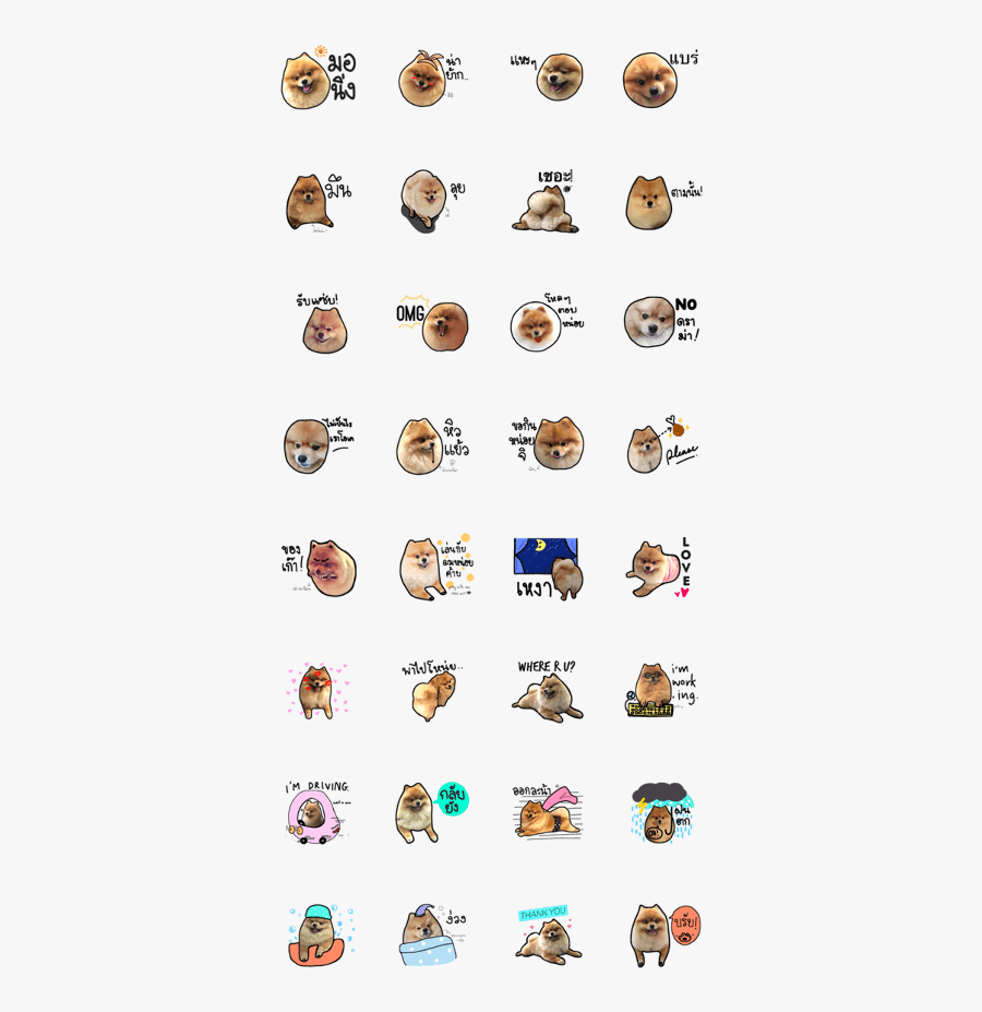 Kuma De Bear, Transparent Clipart