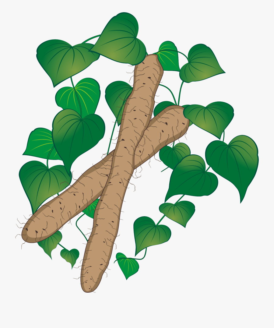 Illustration, Transparent Clipart