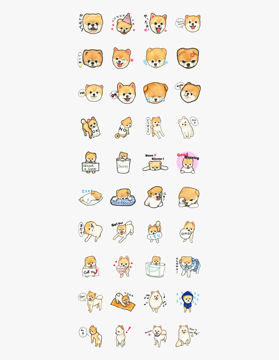Pomeranian Sticker, Transparent Clipart