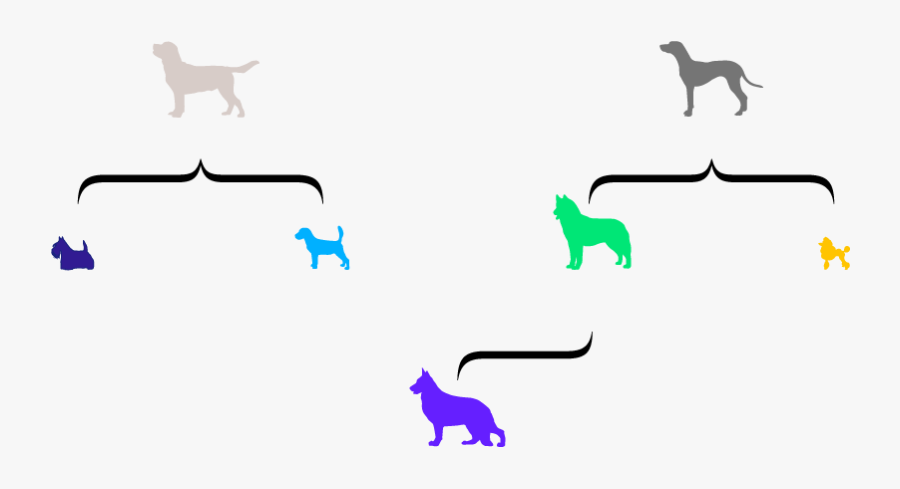 Dog, Transparent Clipart