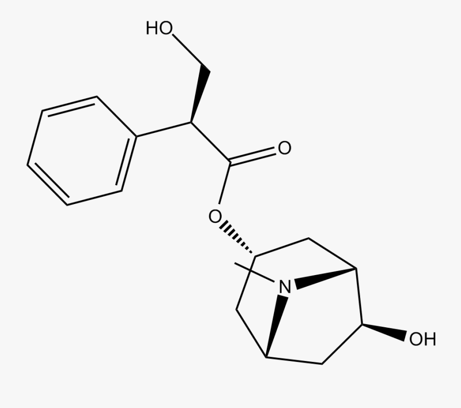 Sketch, Transparent Clipart
