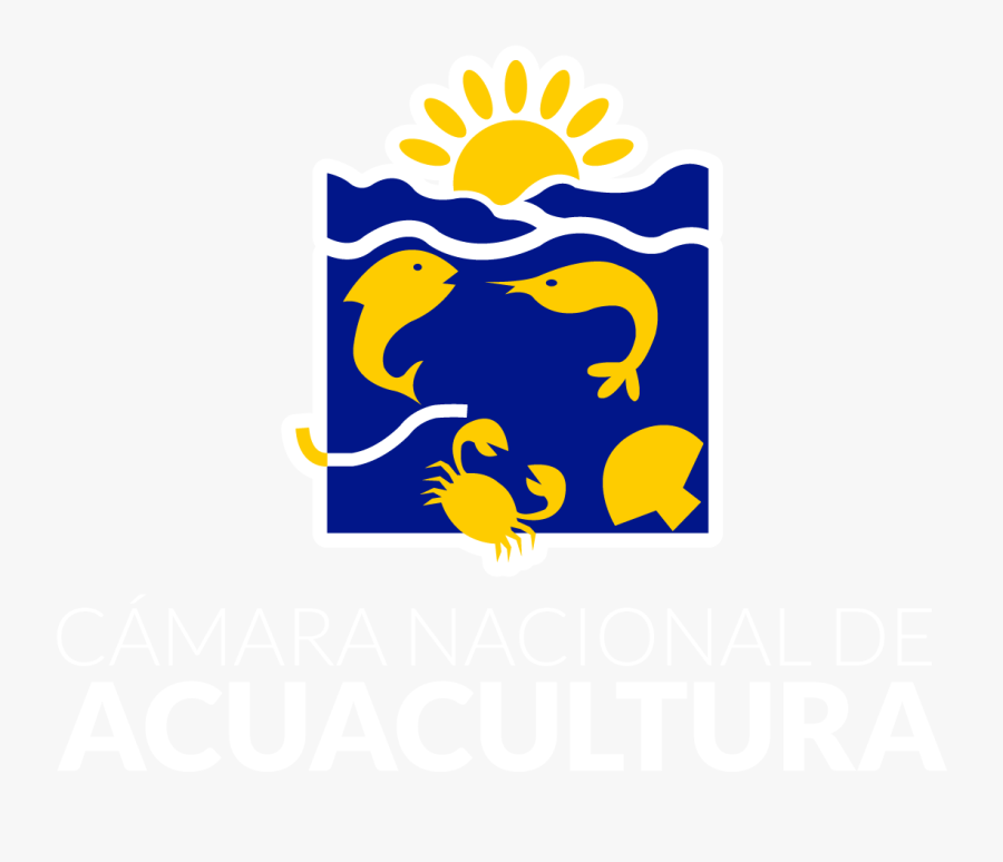 Camara Nacional De Acuacultura Clipart , Png Download - Camara Nacional De Acuacultura, Transparent Clipart
