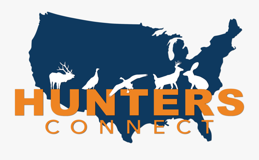 Graphic Design, Transparent Clipart