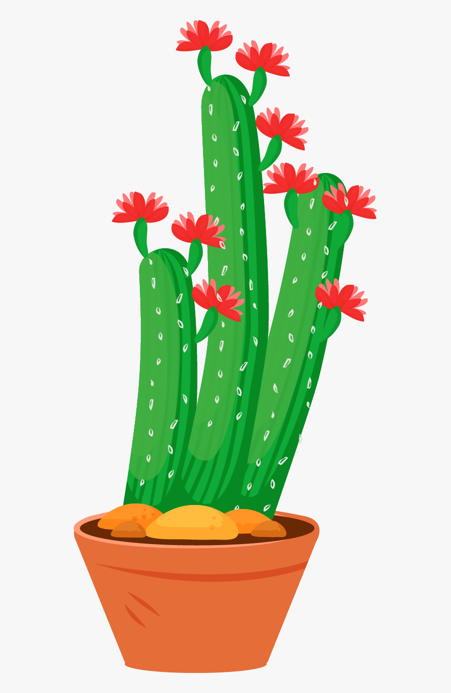 Hedgehog Cactus, Transparent Clipart