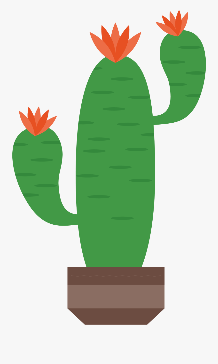 Cactaceae Artworks Illustration - Cactus Png Vector, Transparent Clipart