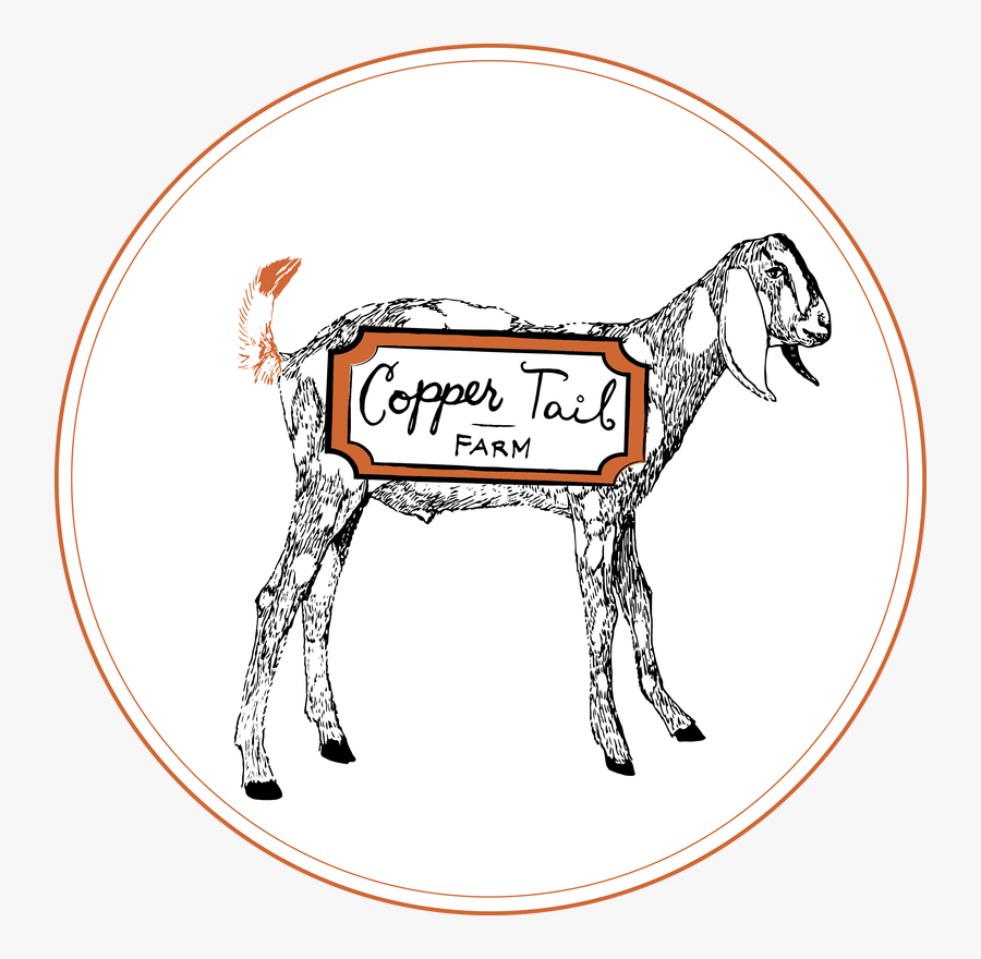 Picture - Cartoon, Transparent Clipart