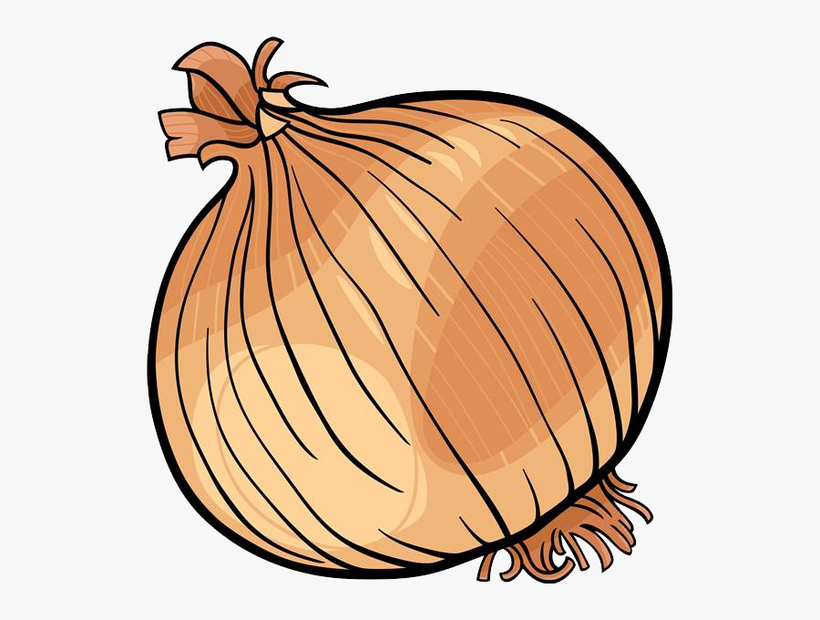 Onion Clipart Fruit Vegetable, Transparent Clipart