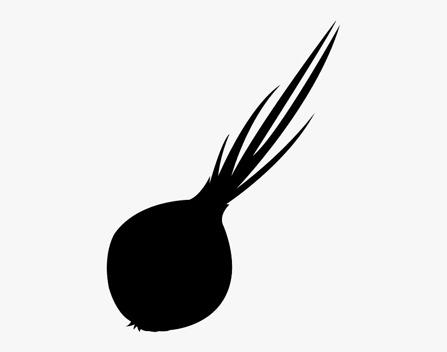 Onion Clipart Black And White, Transparent Clipart