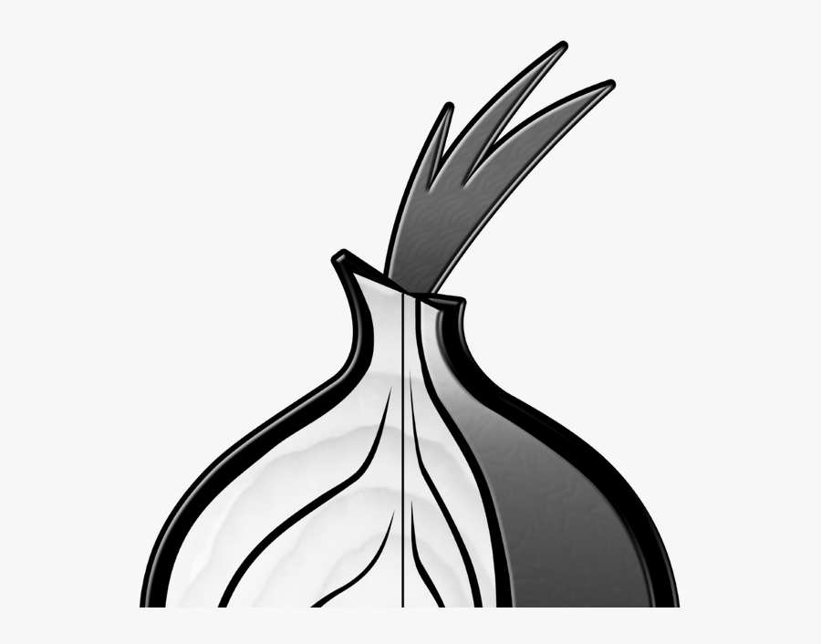 Transparent Onion Black And White Clipart, Transparent Clipart