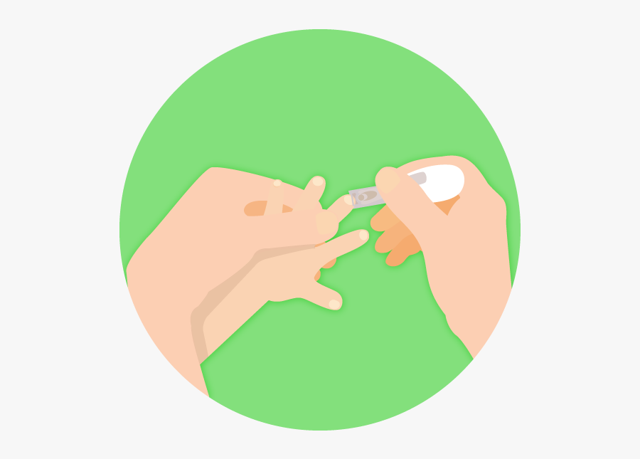 Step By Step Instructions, Transparent Clipart