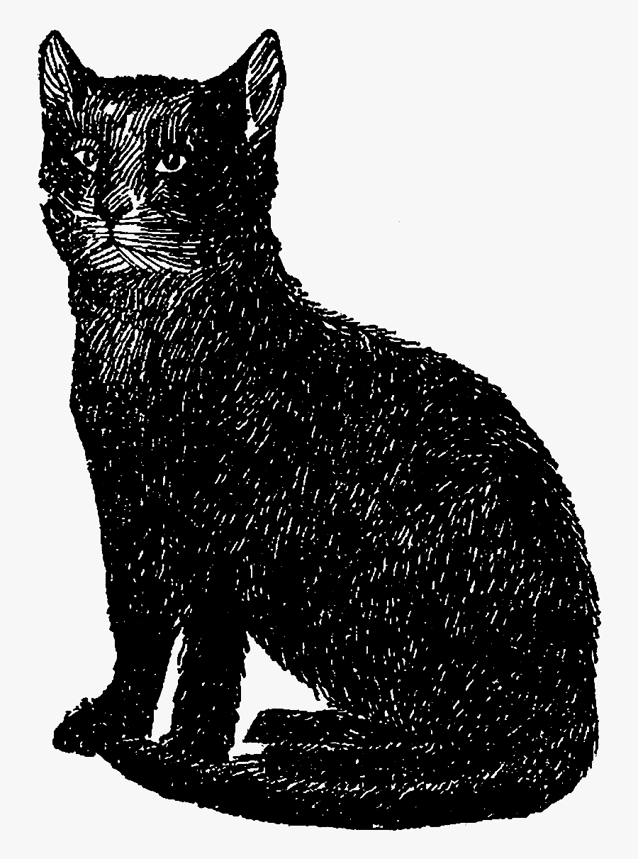 Cat Black Image Illustration, Transparent Clipart