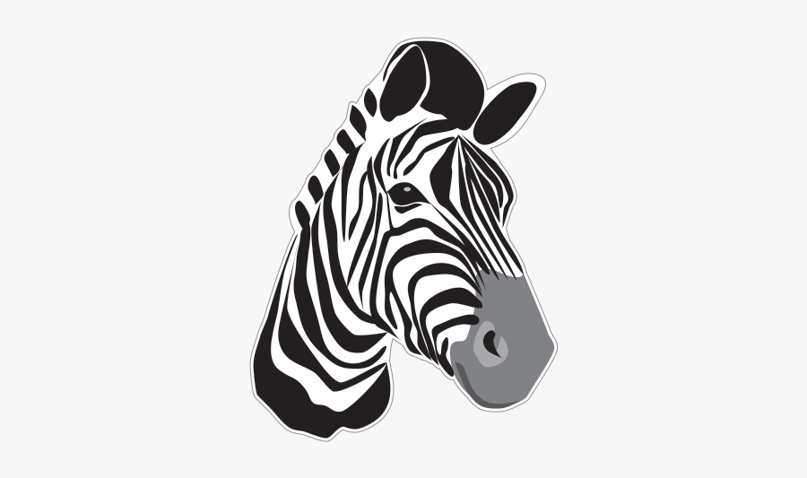Zebra 2d