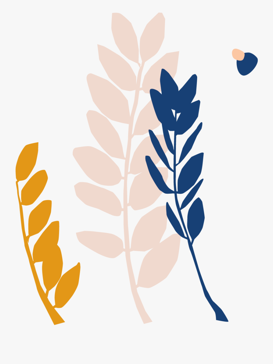 Illustration, Transparent Clipart