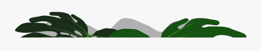 Plant,leaf,tree, Transparent Clipart