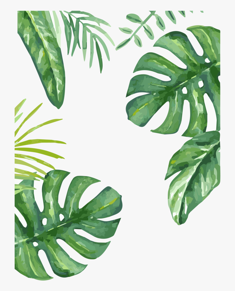 Leaf, Transparent Clipart