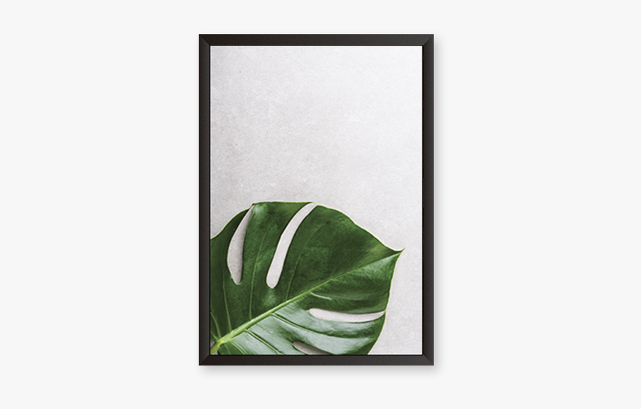 Picture Frame, Transparent Clipart