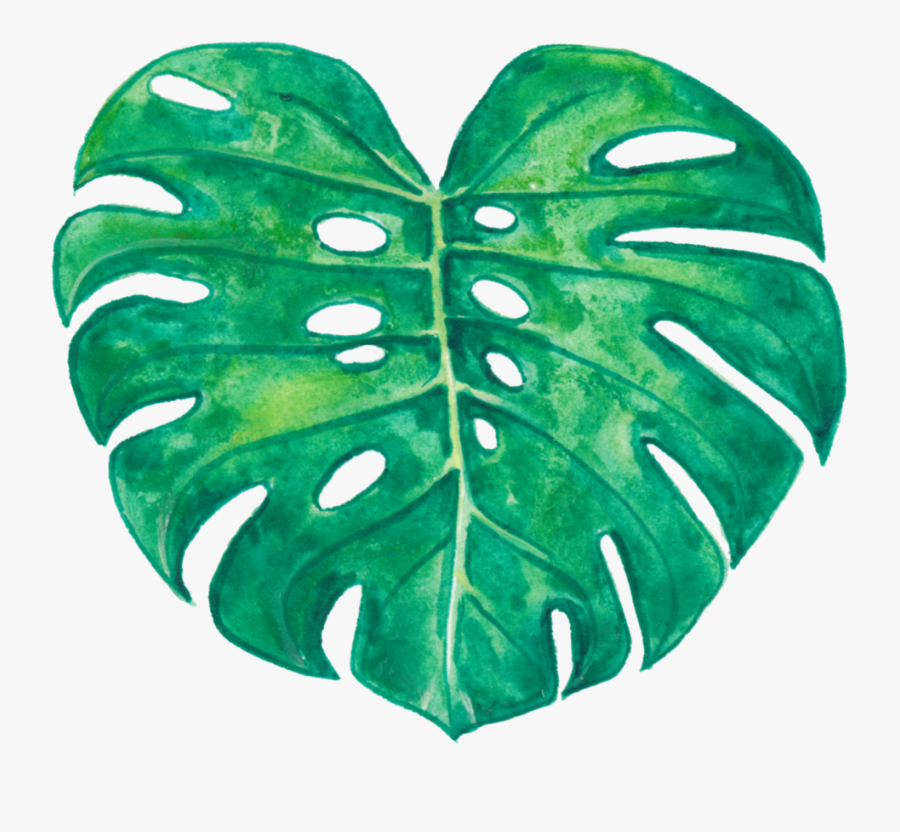 Monstera Leaf Clipart, Transparent Clipart