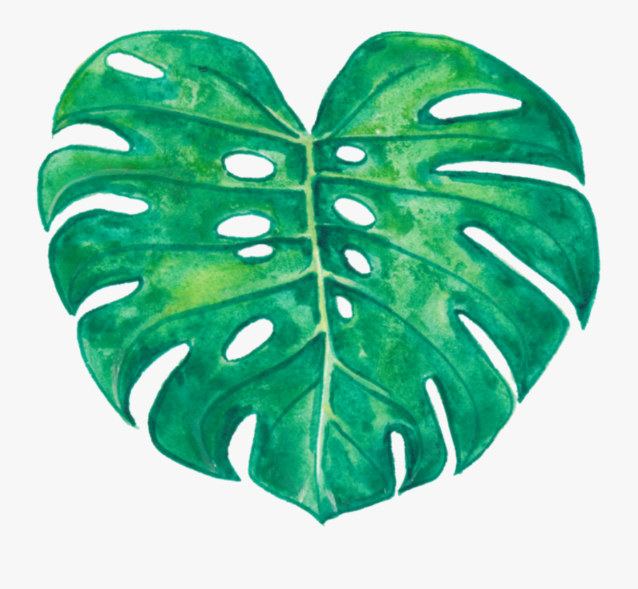 Monstera Leaf Clipart , Free Transparent Clipart - ClipartKey