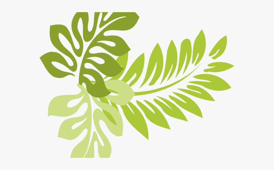 Black And White Hawaiian Flowers, Transparent Clipart