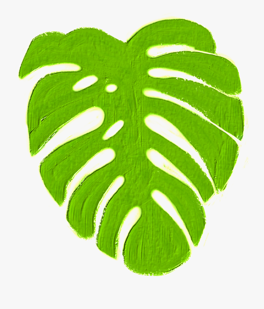 #monstera #tropics #plant #green #jungle #island #warm - Leaf, Transparent Clipart