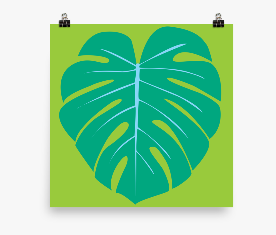 Monstera Leaf 2 By Graeme Luey - Illustration, Transparent Clipart