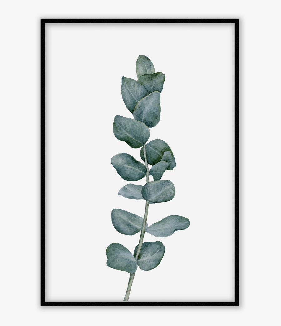 Minimalism, Transparent Clipart