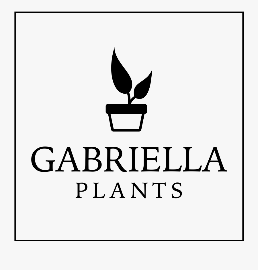 Gabriella Plants, Transparent Clipart