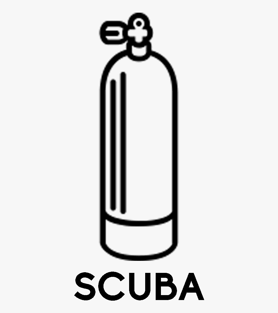 Spectacular Indian Ocean Coral Reef Diving Manta Madness, Transparent Clipart