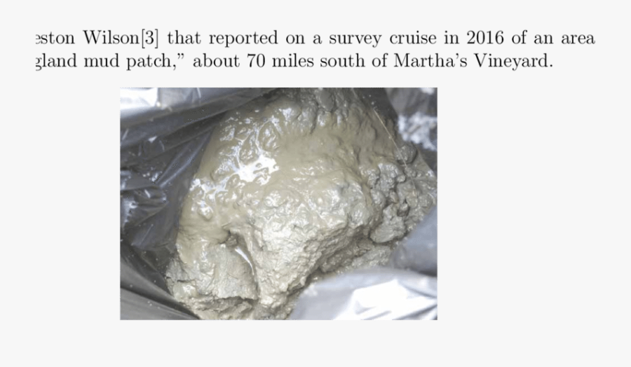 Photograph Of Marine Sediment Mud - Igneous Rock, Transparent Clipart